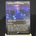 Takenuma, Abandoned Mire MTG Proxy Cards