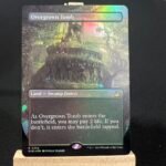 Overgrown Tomb RVR Borderless Foil MTG Proxy Cards