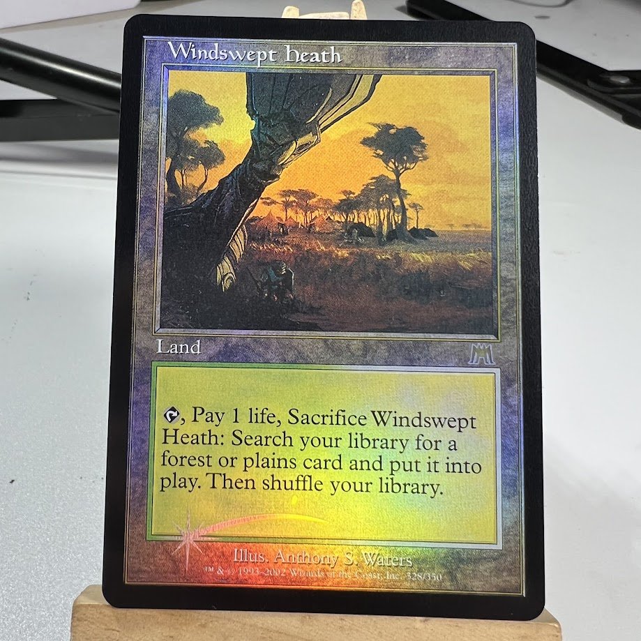 5-9-1.jpg Windswept Heath Onslaught foil MTG Proxy Cards - Image 1