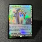Hallowed Fountain Foil MTG Proxy Cards