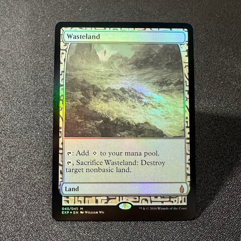 IMG_1895.jpg Wasteland Foil MTG Proxy Cards - Image 1