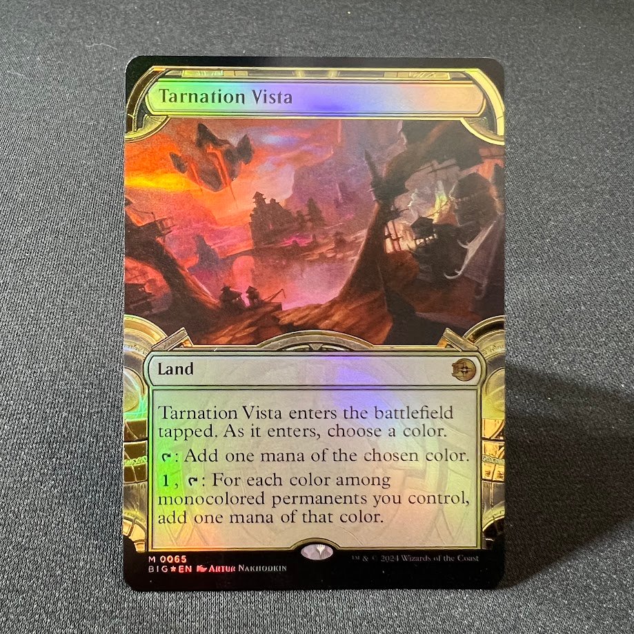 IMG_7594.jpg Tarnation Vista BIG #65 (raised foil) Foil MTG Proxy Cards - Image 1