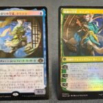 Tamiyo, Inquisitive Student #242 JP Foil MTG Proxy Cards