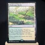 Windswept Heath KTK MTG Proxy Cards